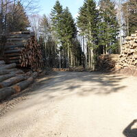 Abstieg, im Kleinmariazeller Forst