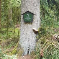 Hohe Tanne St. Roman