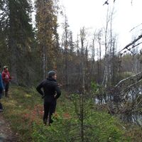 Kokkoharju-Weg