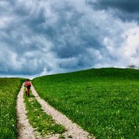 Am Weg nach Koppl