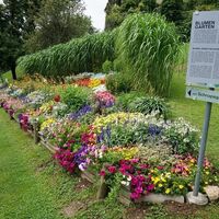 Themengärten PB Schnapsgarten in der Oststeiermark