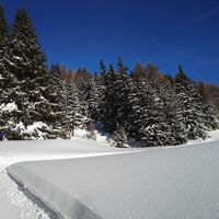 perfekte Winterwanderwege