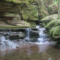 Wasserfall in der Monbach-Schlucht