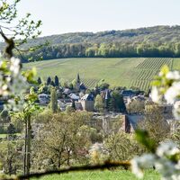 Moselsteig Perl mit Blick auf Schengen