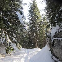 Schneeschuh- &amp; Skitour - Hütteneck in Bad Goisern am Hallstättersee