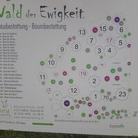 Netter Friedhof so im Wald