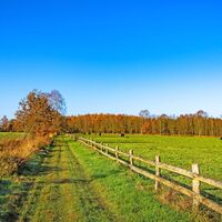 Naturnaher Weg an einer Weide des NORDPFADES Dör't Moor