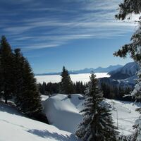 Schneeschuhtrail Selibüel-Panoramatrail