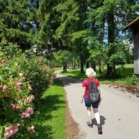Am Bach kurz vor dem Allgäuer Golf- und Landclub