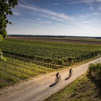Das Weinland Traisental
