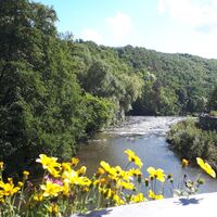 Der Glan bei Meisenheim