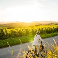 Radfahren im Kamptal