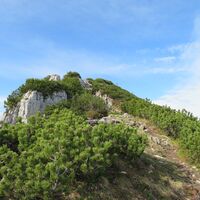Hollenstein - Stumpfmauer - Tanzboden - Altenmarkt