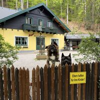 Die beiden kuschelbärartigen Haus(wiesen)hunde kamen heut sogar angetrabt, um den vorbeigehenden Wanderer zu begrüßen :)