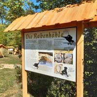Informations-Tafel am Walderlebnispfad an der Karlskuppe bei Eisenach