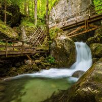 Myrafälle Muggendorf