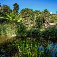 Das Arboretum in Arco