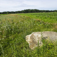 Landschaft der Göhrdeschlacht