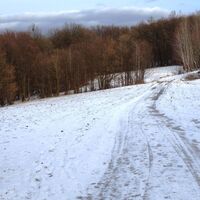 Am Weg zum Kammersberg