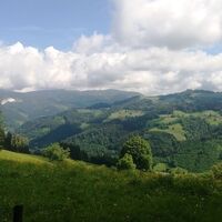 Durch_einen_schönen_Hochwald_Ausblick