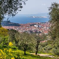 Parc Vinaigrier - Nice