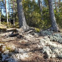 Haukvuoren Runde