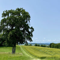 Elfershausen