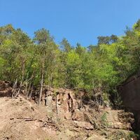 Steinbruch am Scheidwald