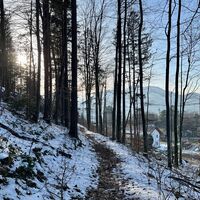 Steinköpfl-Treil - Molln