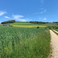bargen-landschaft-weg