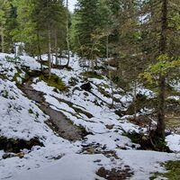 0.7 km Der Pfad schlängelt sich entlang der Taurach