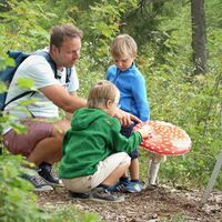 Familie entdeckt künstlichen Fliegenpilz am Horneradsch-Sinnespfad