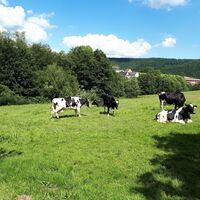 Am Rande des De 7