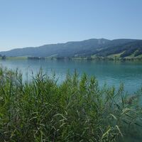 Zell am Moos - Irrsee