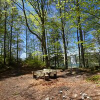 An der Ruine Rothenfels