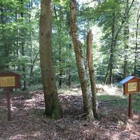 Waldlehrpfad