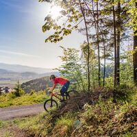 Blick auf Stift Rein beim Mountainbiken