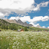 Passo San Pellegrino - ©Archivio APT Val di Fassa