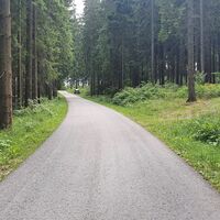 16.8 km Rechts auf Trail zum Kammererkreuz