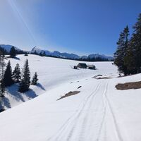Zum Kuhalm