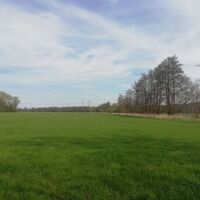 Bienwald-Brunnenweg - Ausblick auf Wiese