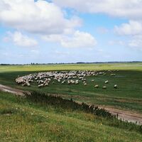 Baie de Somme Süd Der Küstenweg