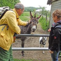 Tierische Begrüßung auf dem Hof Grafel