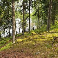 Pöyhiänniemen Naturpfad