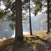 Lichtbergweg