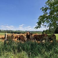 Radtour Heide-Rider Tour