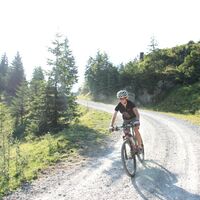 Eine schöne Abfahrt wartet auf Sie