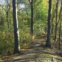 Kammweg bei Eisenach