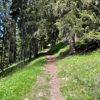 historische Strasse, Egga - Belalp