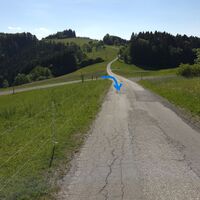 nahe Gehöft Haag